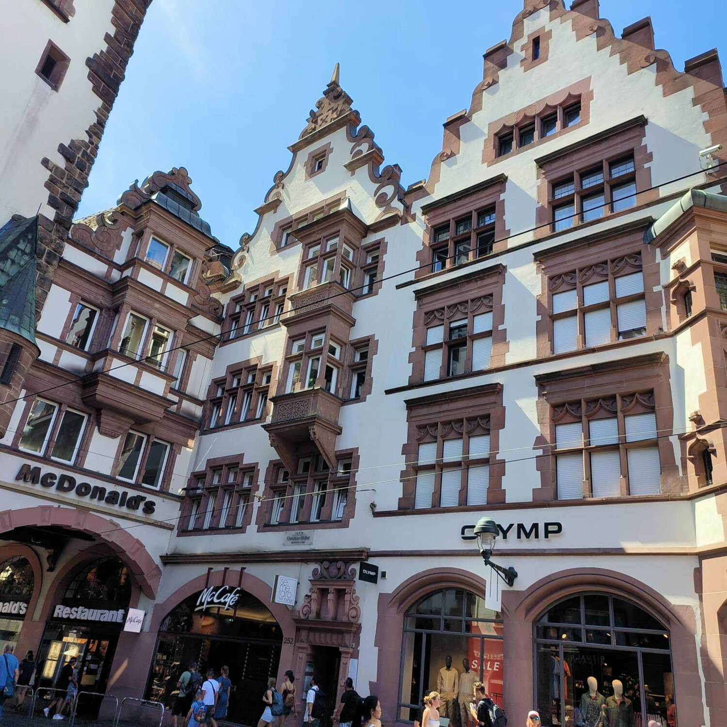 DVS Reise