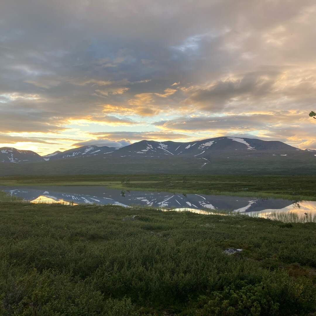 Sarek 2022
