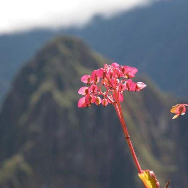 Rundreise durch Peru