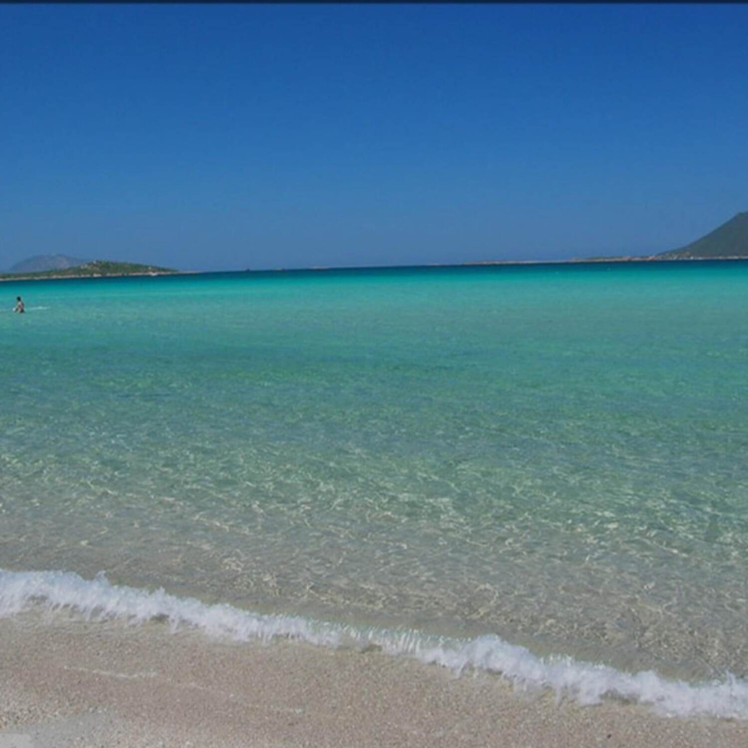 Sardinen