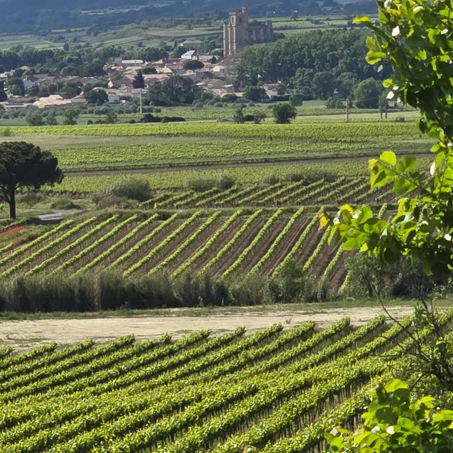 Beziers Mai 2025