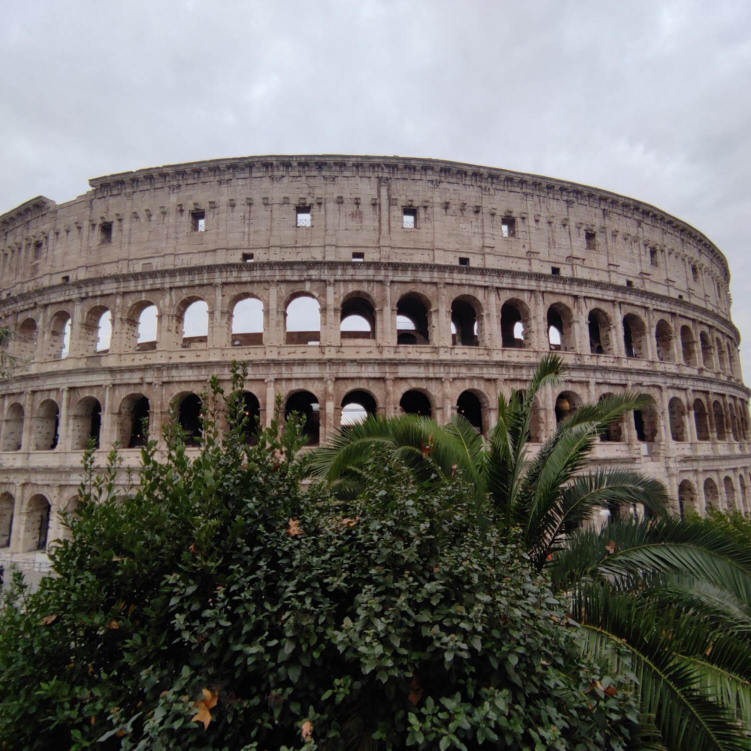 Roma 🇮🇹