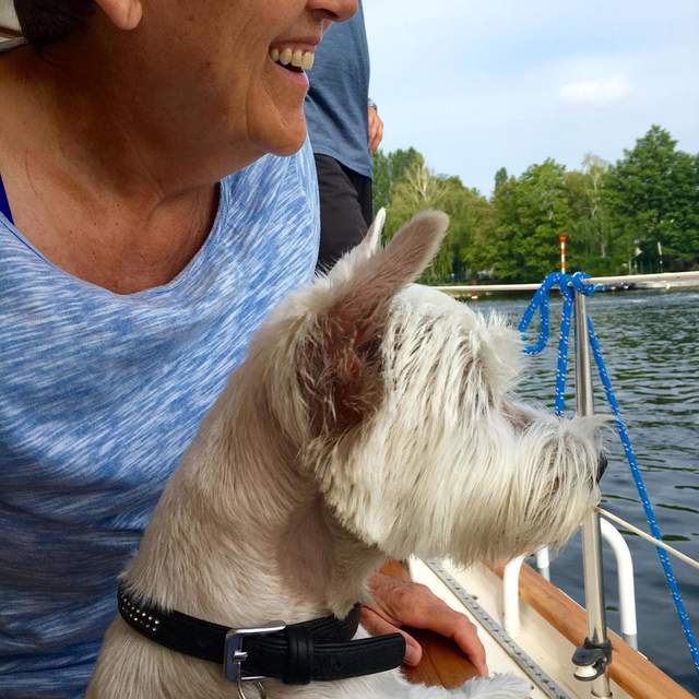 Sejltur gennem Europa