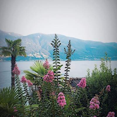 Lago Maggiore 2016