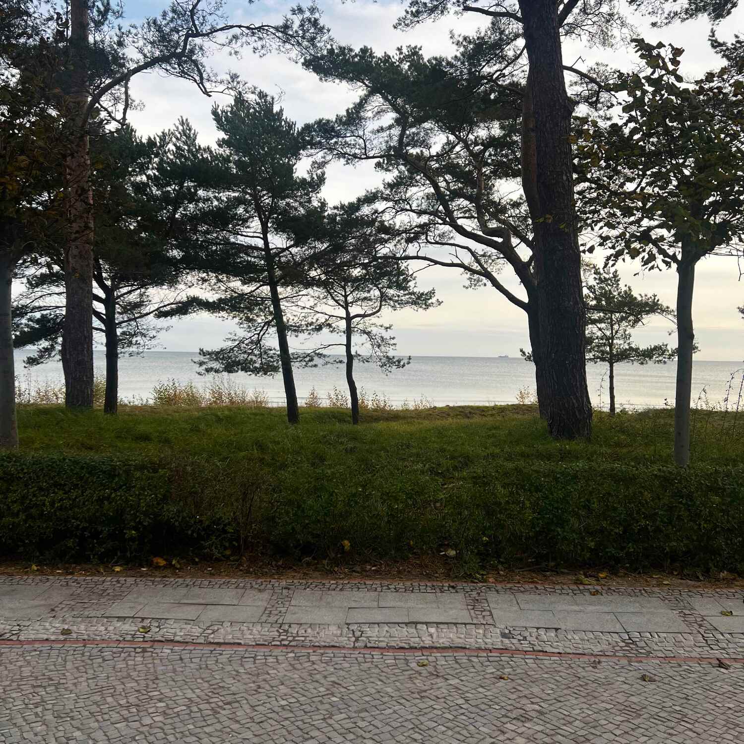 🇩🇪Mecklenburg-Vorpommern🇩🇪