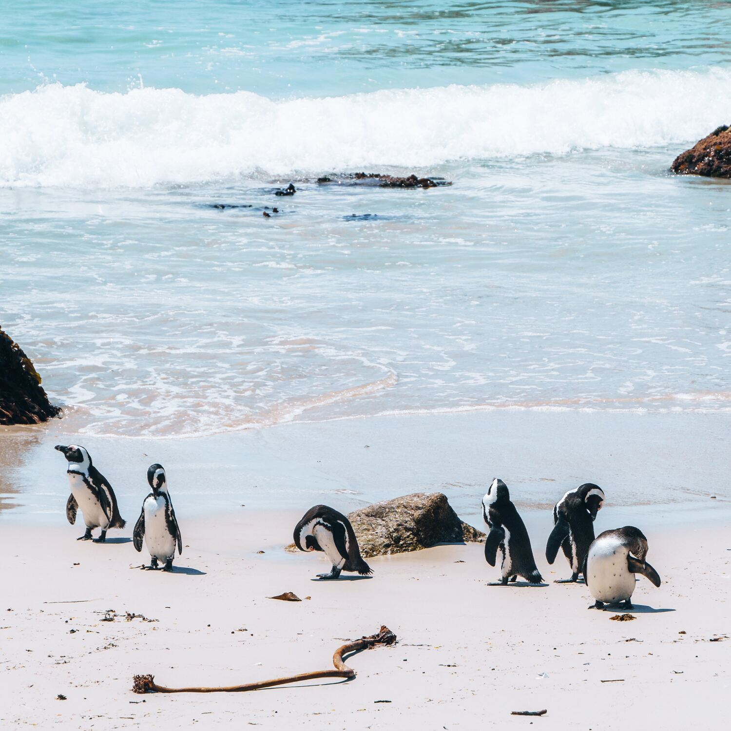 Schwestern-Trip nach Kapstadt