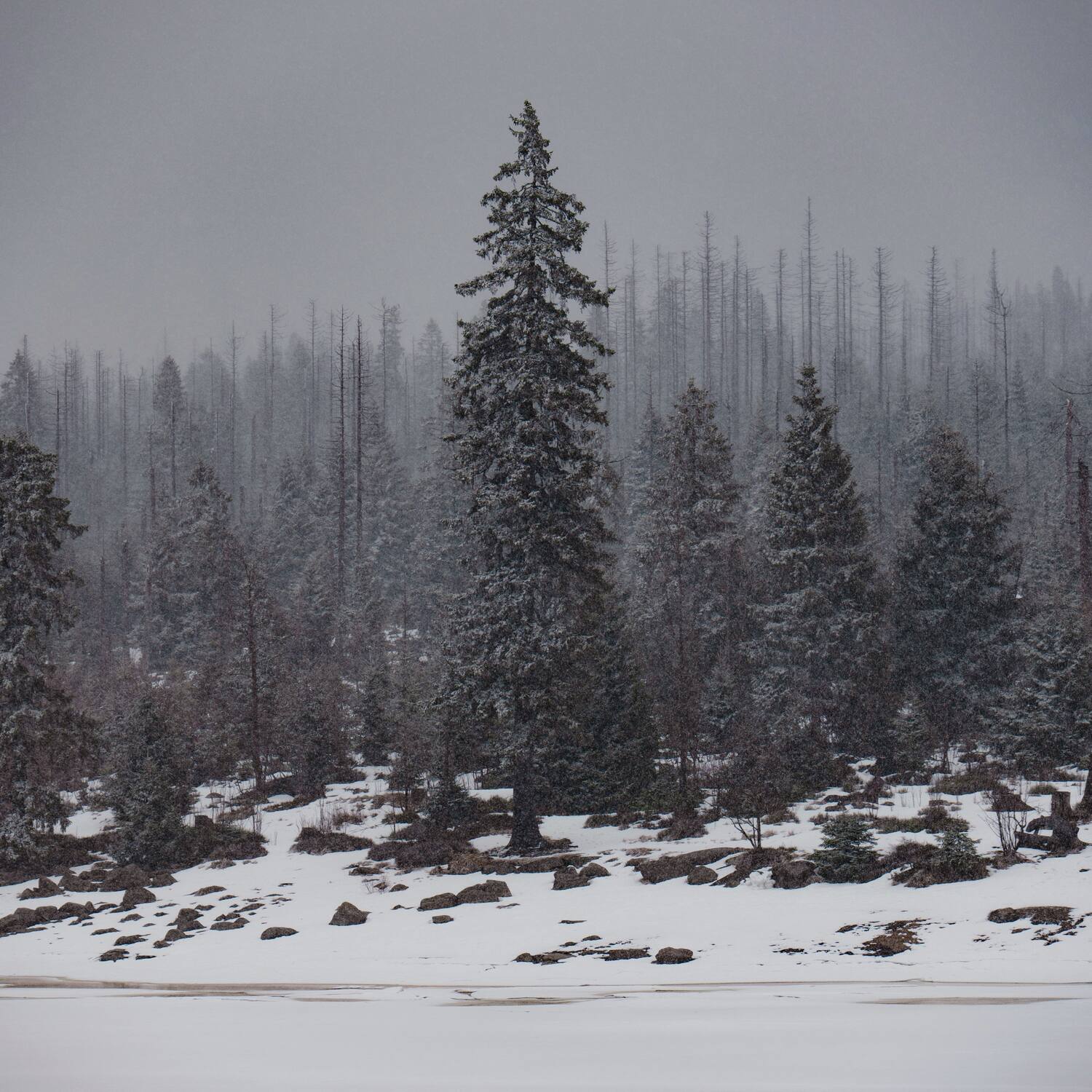 Kurztrip in den Harz