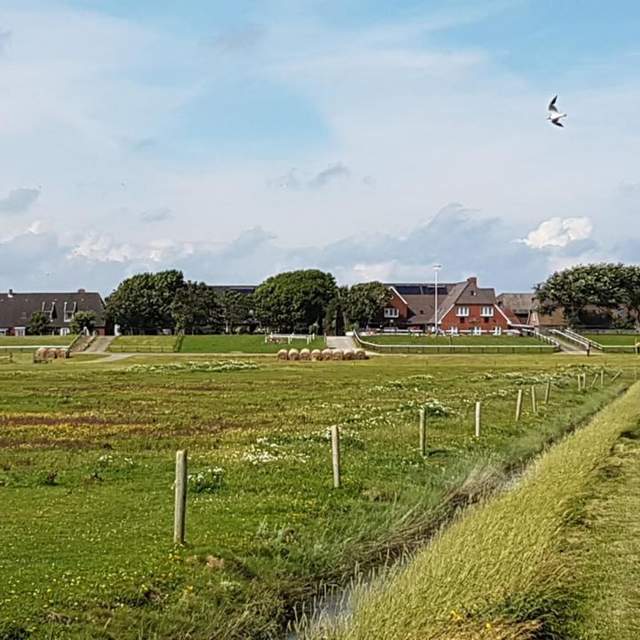 Hallig Hooge