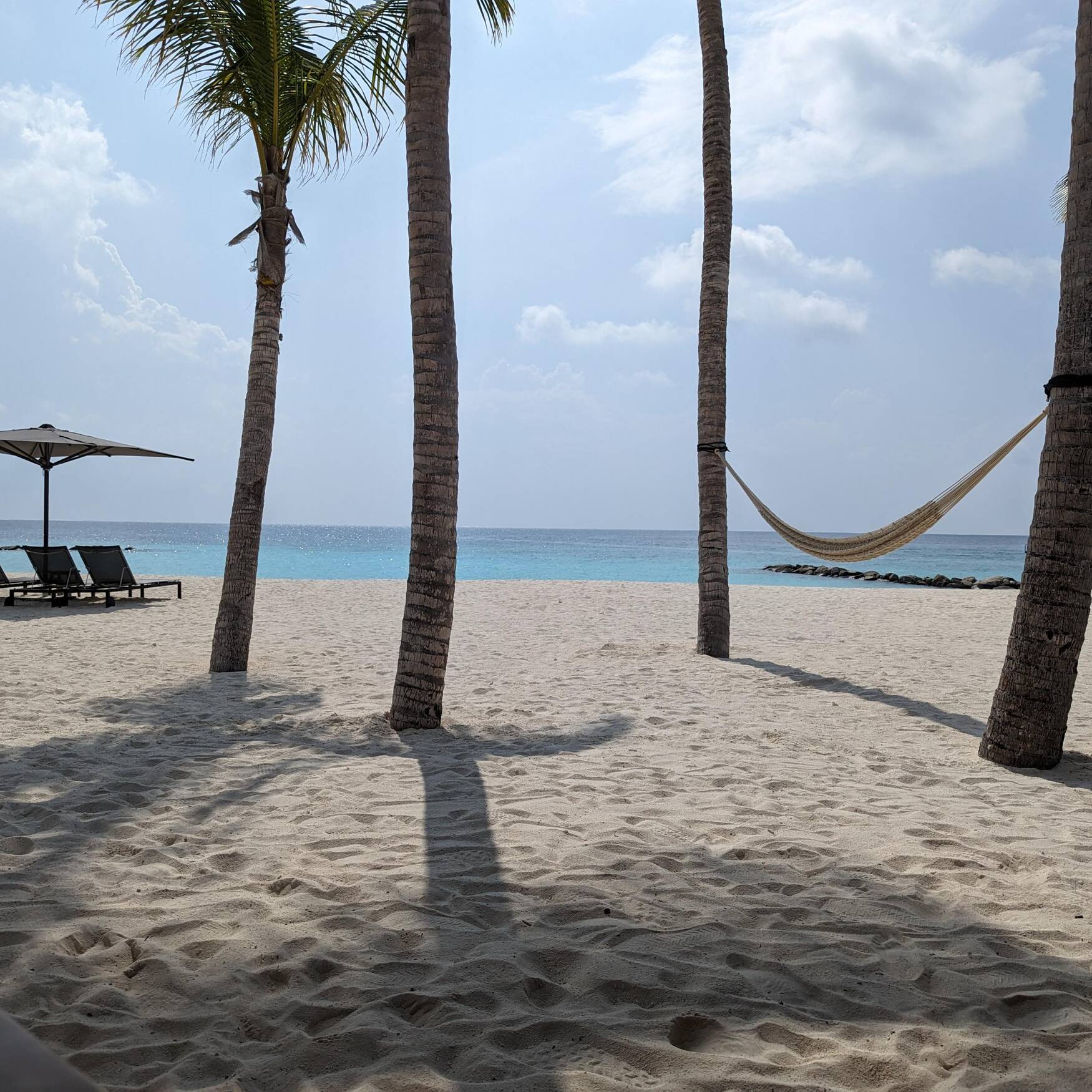 Maldives, Singapore, & Vietnam