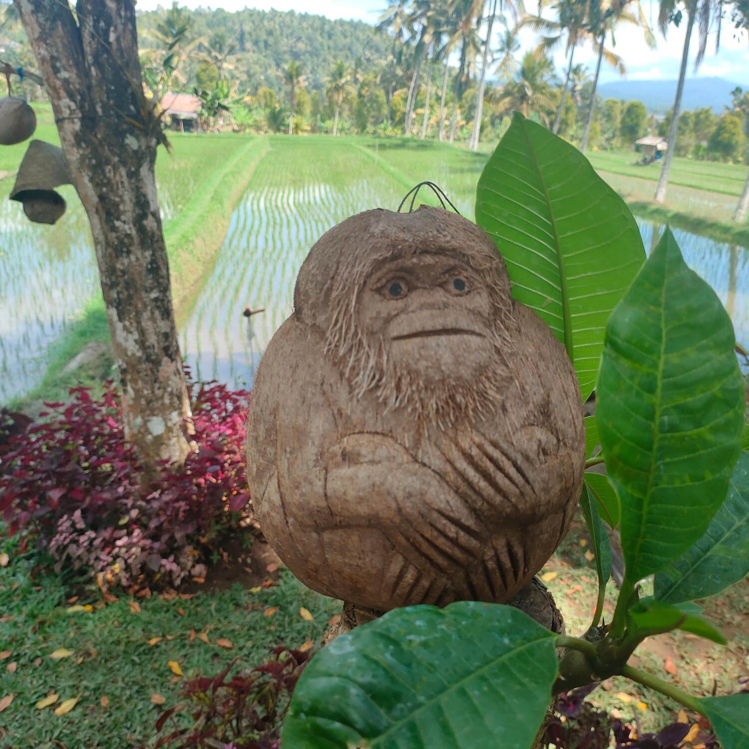 Bali 2023