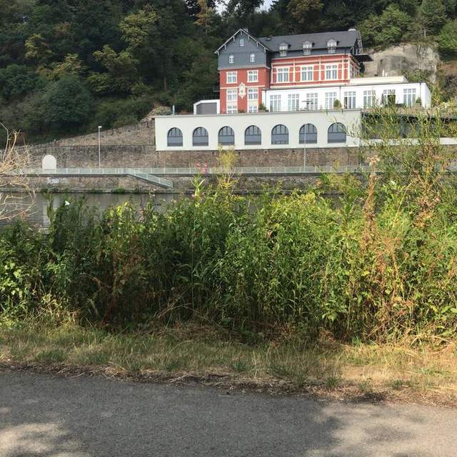 Mit dem Rad nach Mülheim