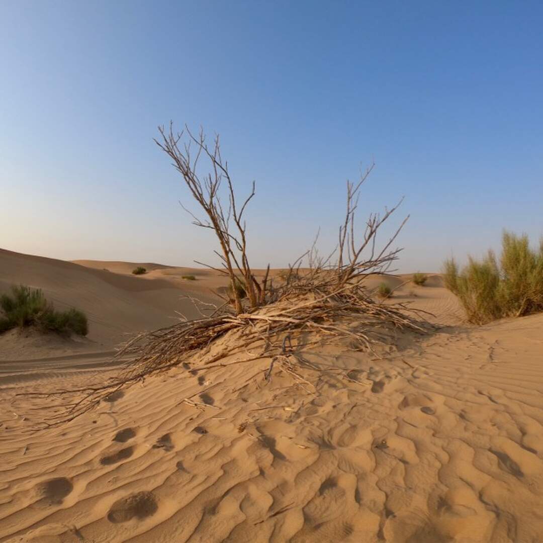 2019 Dubai