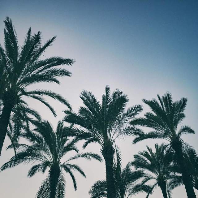 2017.Feb. Cala Ratjada