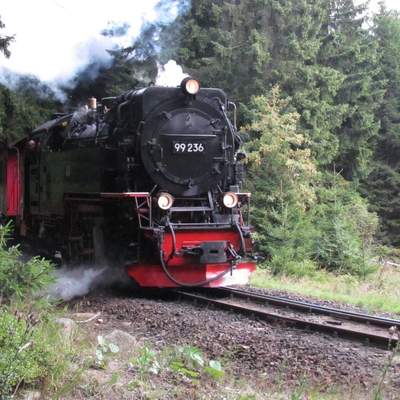 Tagestrip - Harz