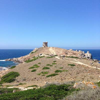 Corse