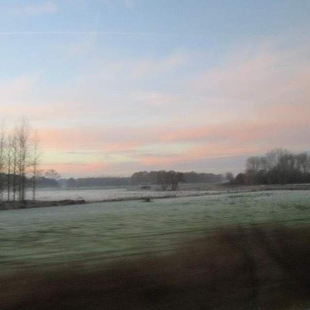 Cruise Kerstmarkten 2015