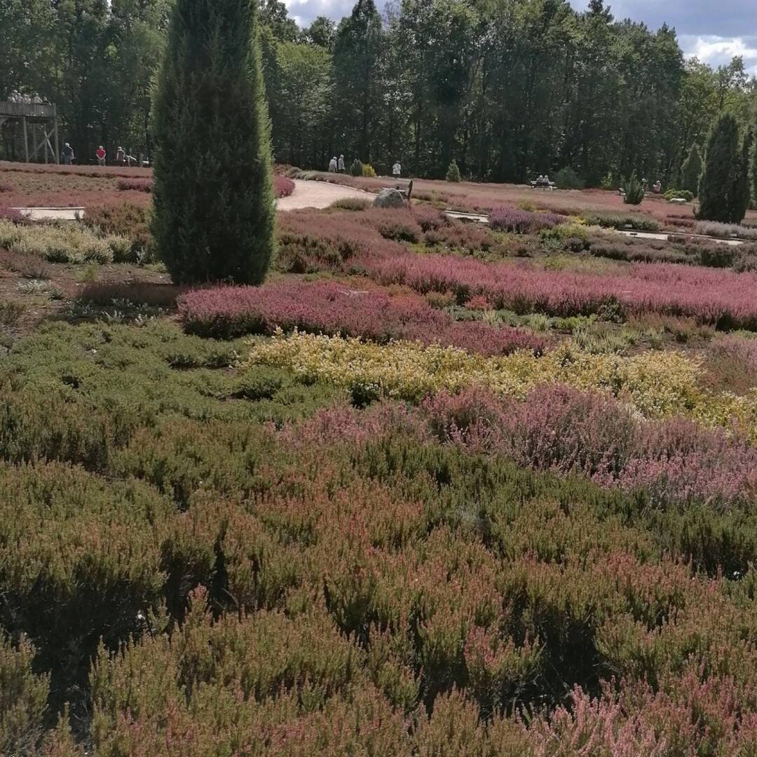 Hamburg - Soltau - Bispingen