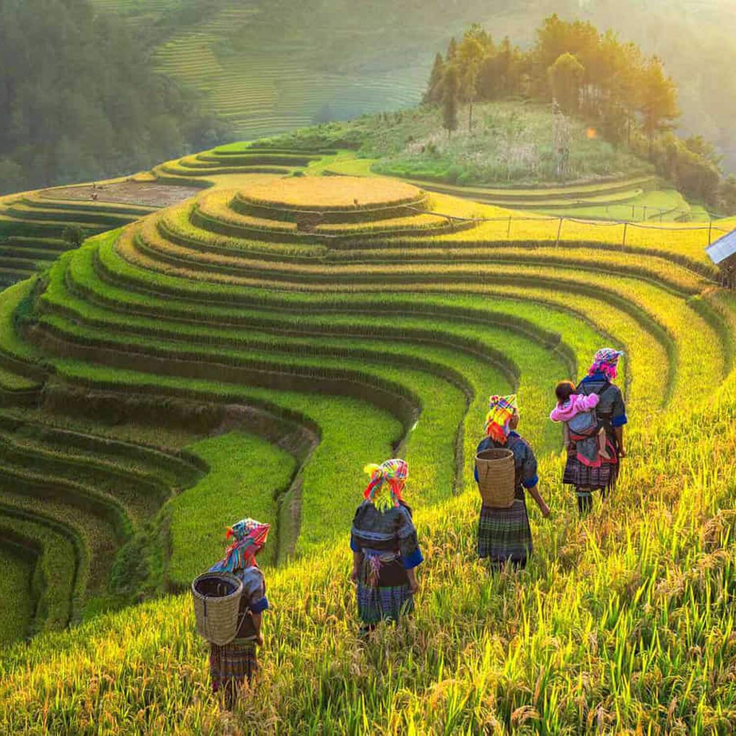 Vietnam