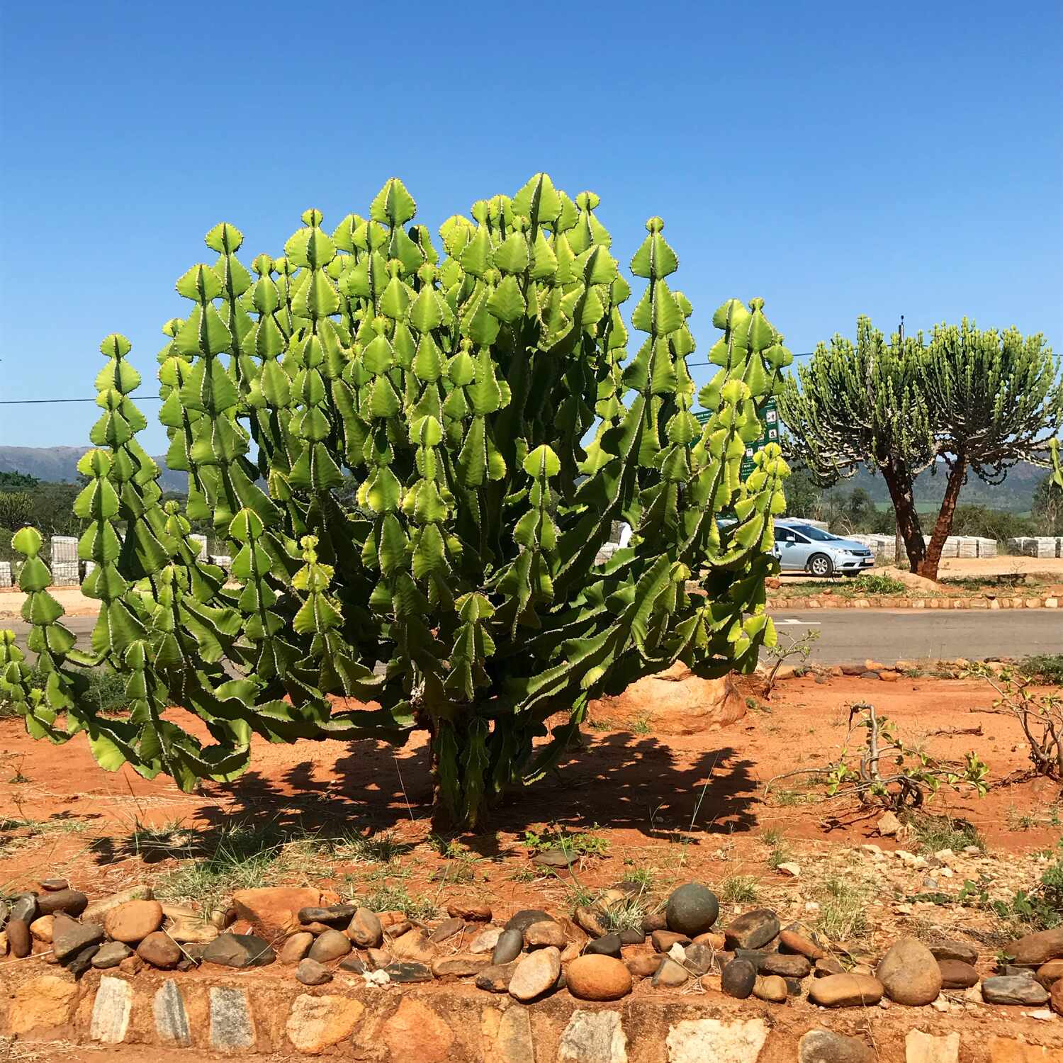 Südafrika