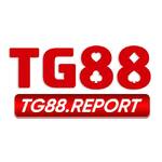 TG88 report