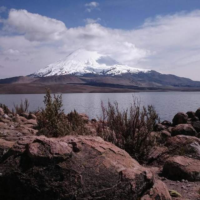 Zum Lago Chungara