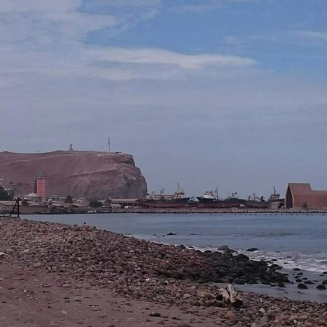 Arica