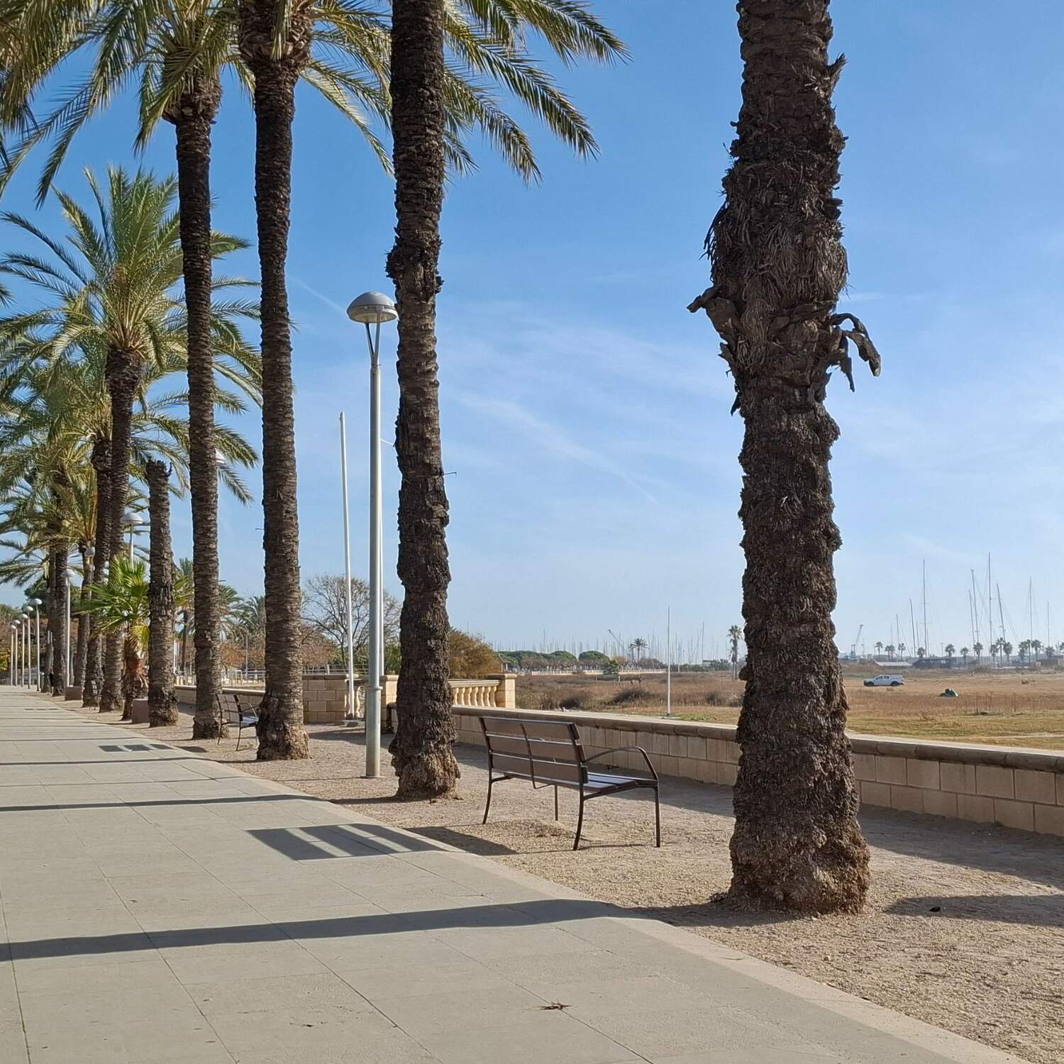 Vamos a Portugal...2025