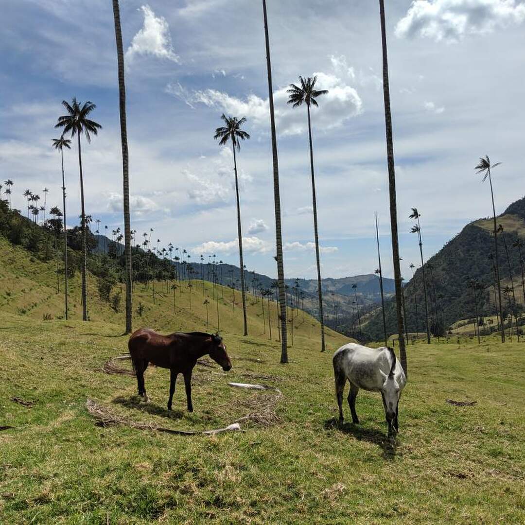 Kolumbien