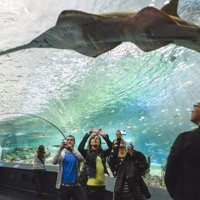 Awesome Trip to Canada