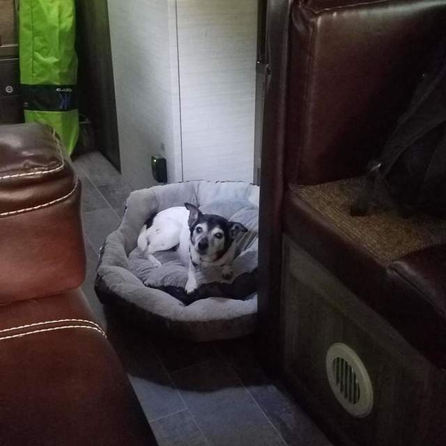 Cumberland Falls 5.2017