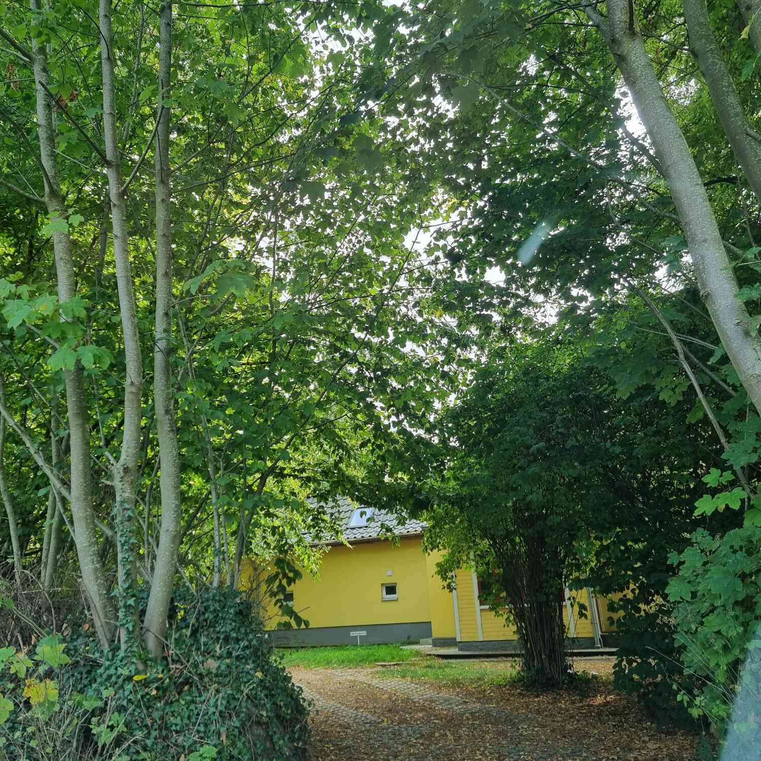 Schabeutz