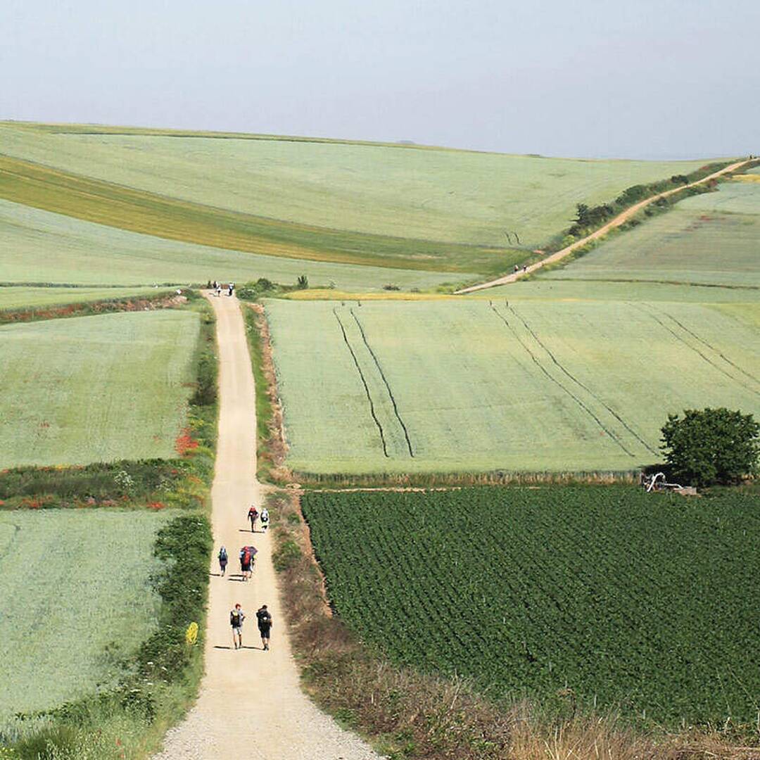 Camino de Santiago