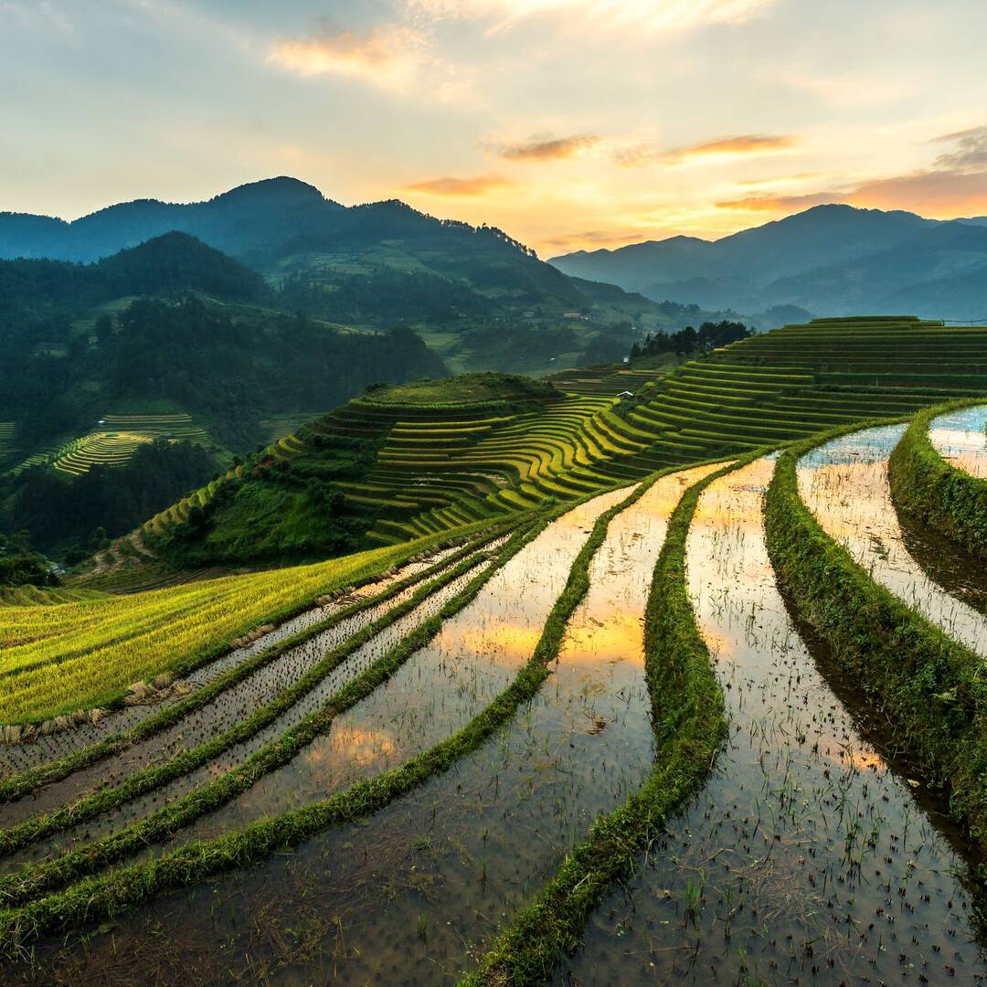 Vietnam