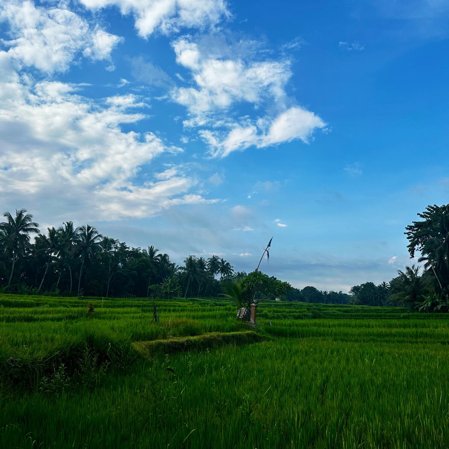 Auf ins neue Abenteuer 🌏