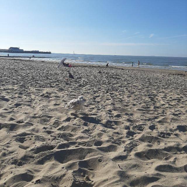 Natalie Vandersmissen