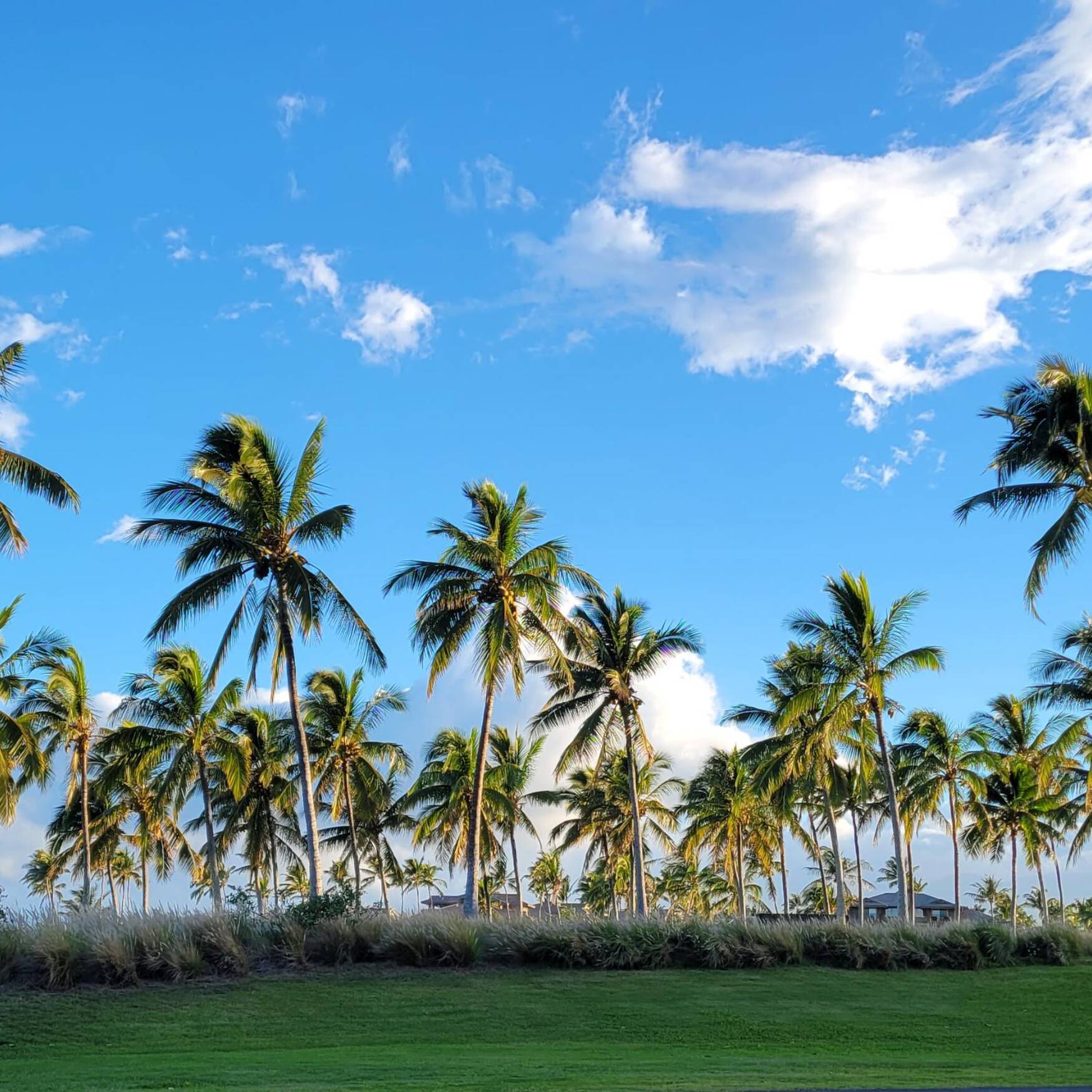 Hawaii 2023
