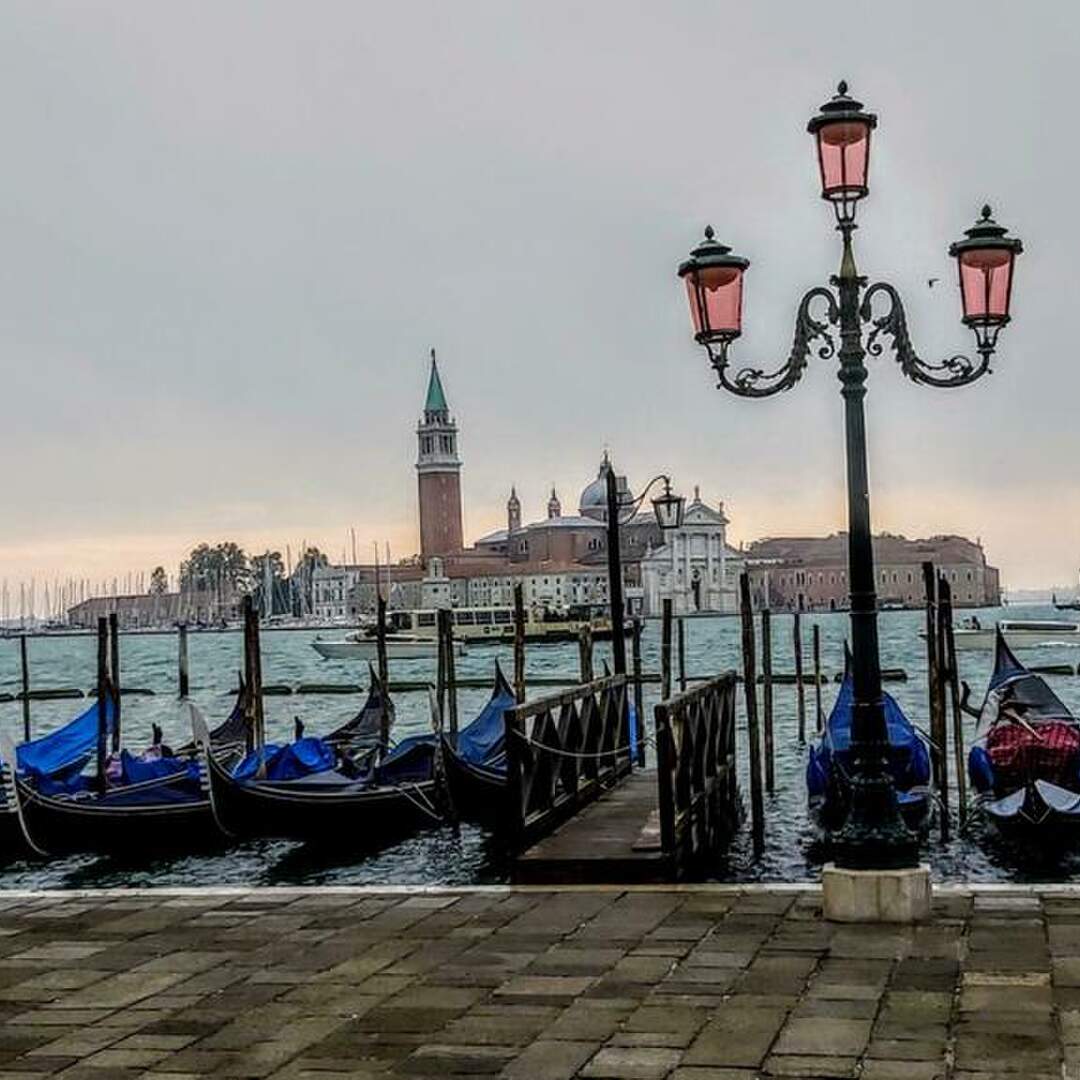 Venice 2019