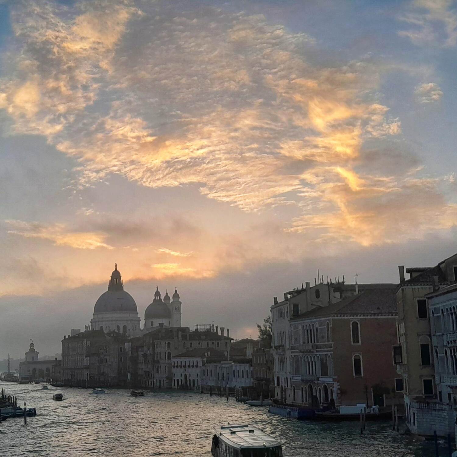 Venice 2024