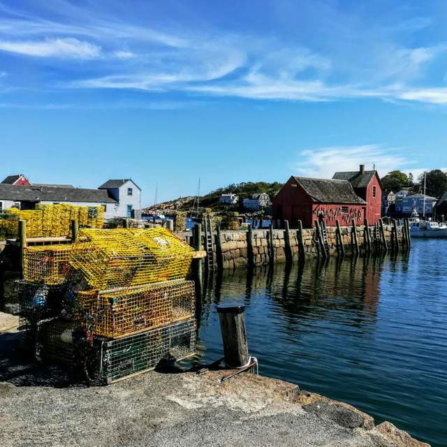 New England 2017