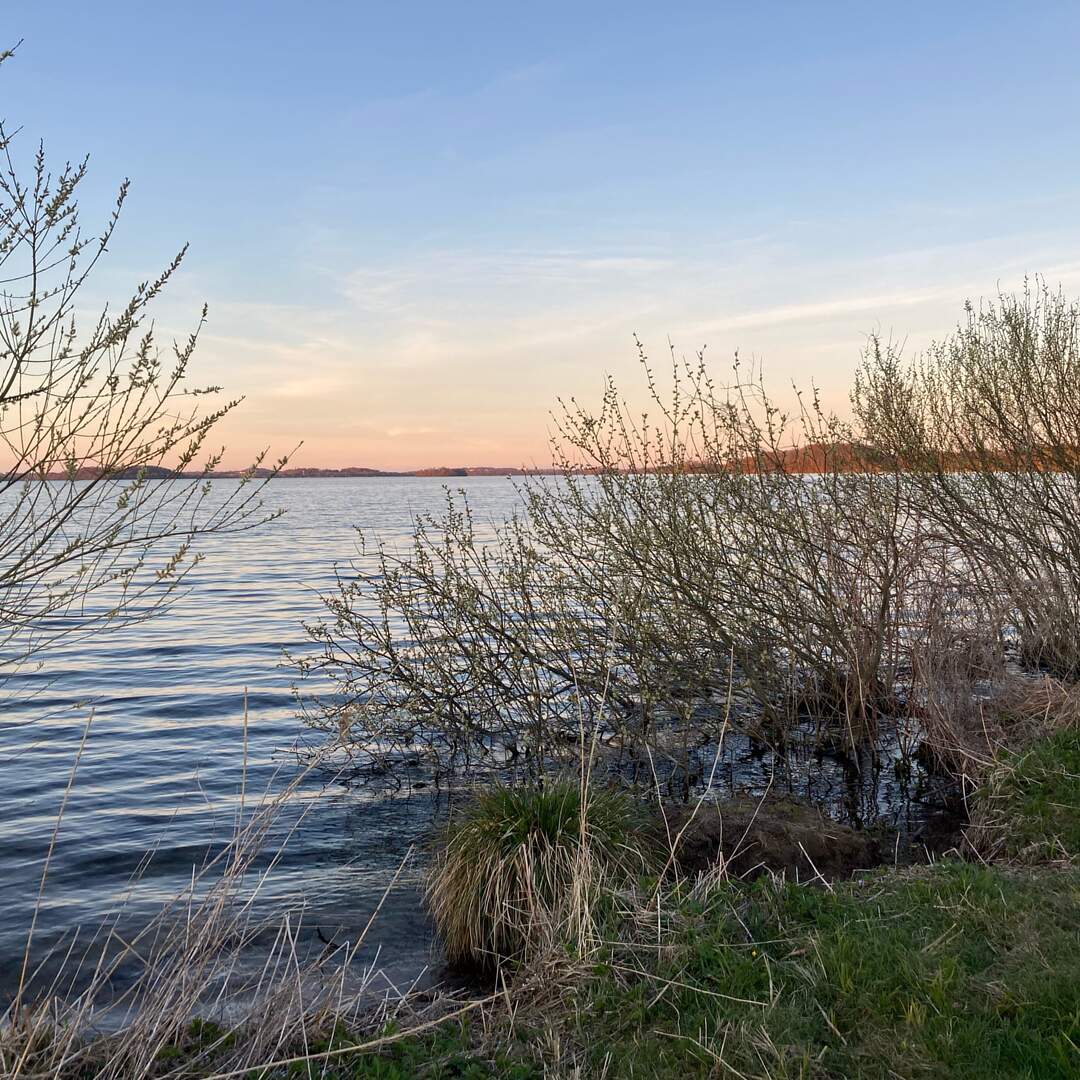 Dersau Teil 2 und Urlaub