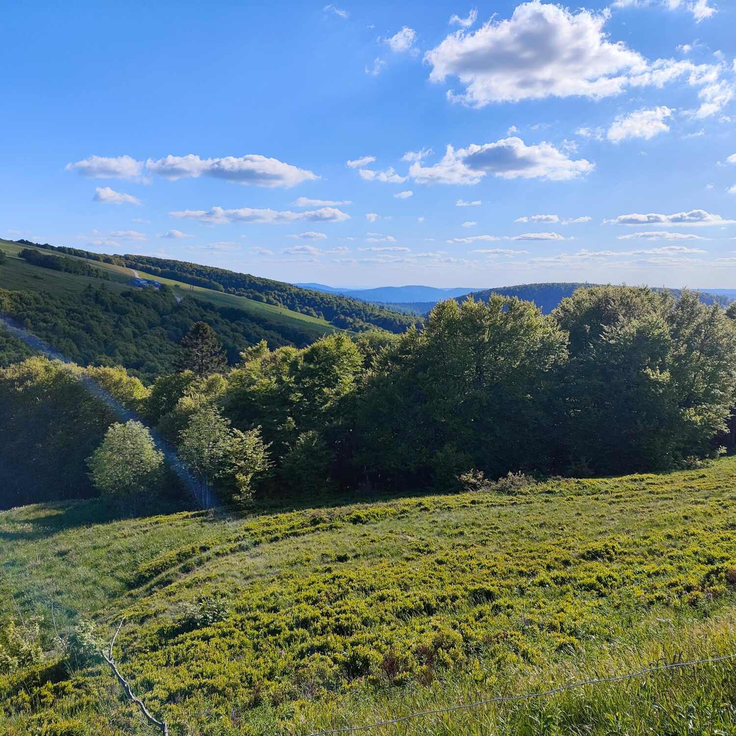 Elsass & Vogesen