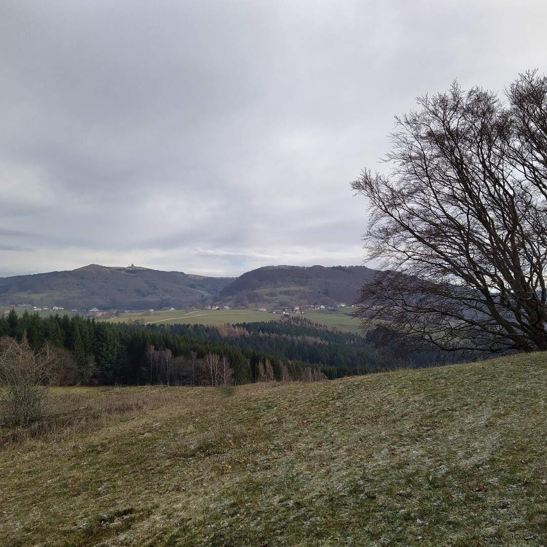 Wasserkuppe mit dem eAuto