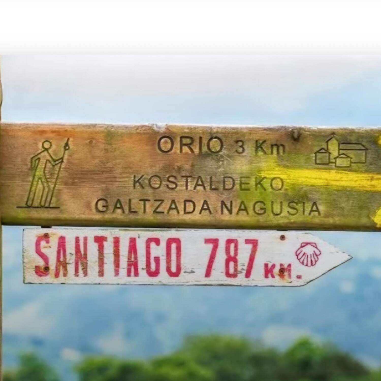 Camino is Calling, I Must Go