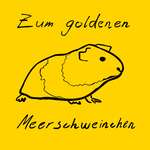 Goldenesmeerschweinchen