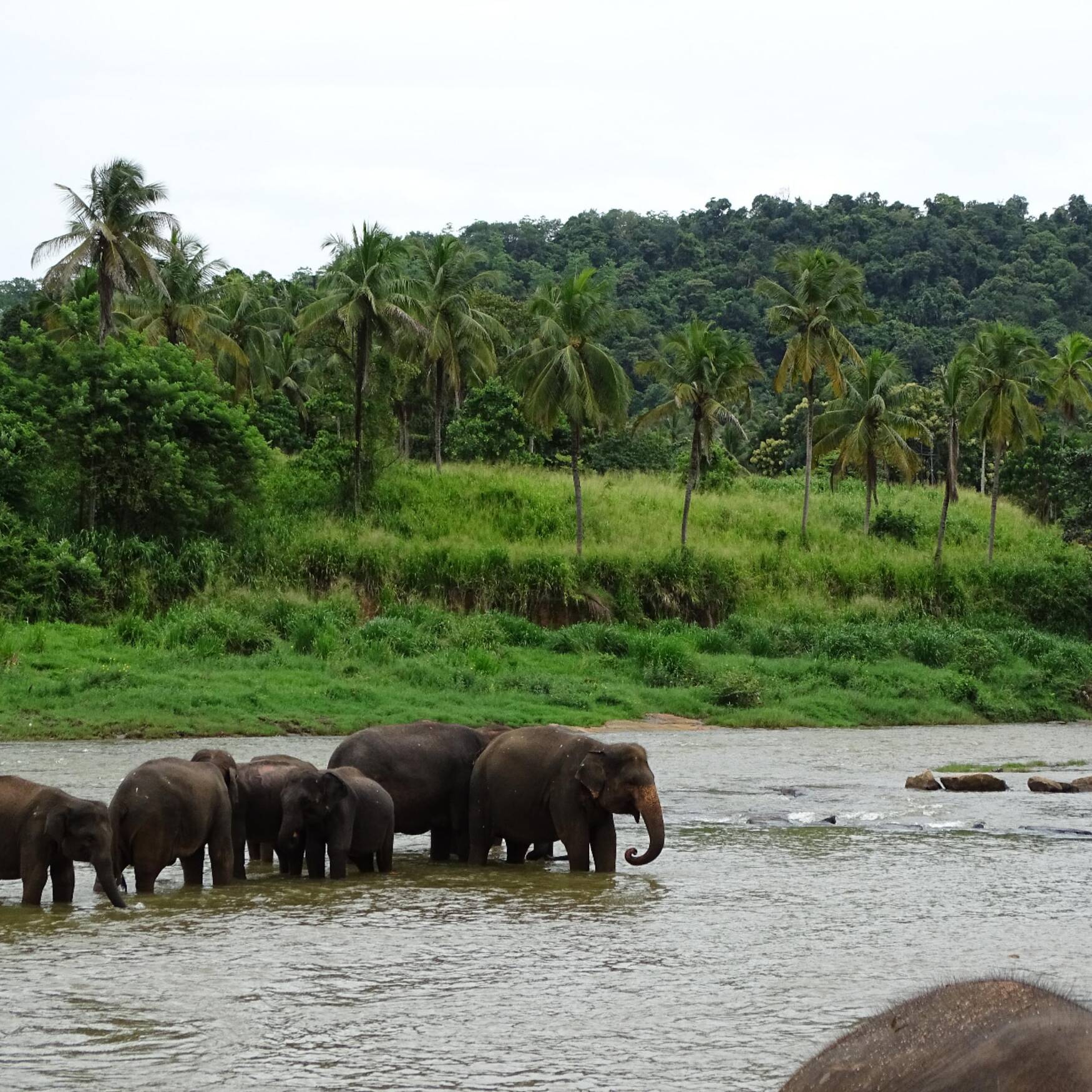 Sri Lanka 2018