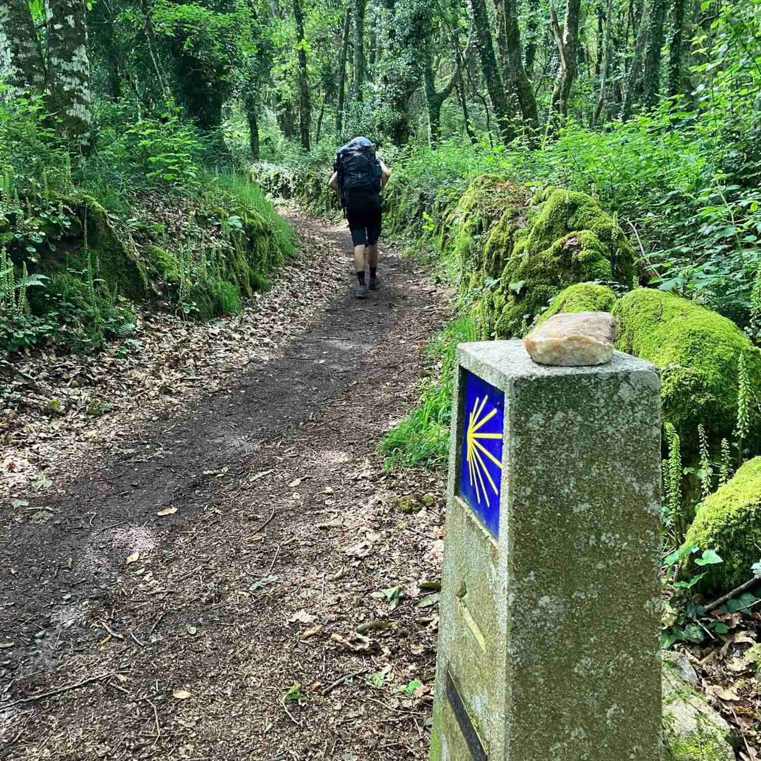 Camino de Santiago