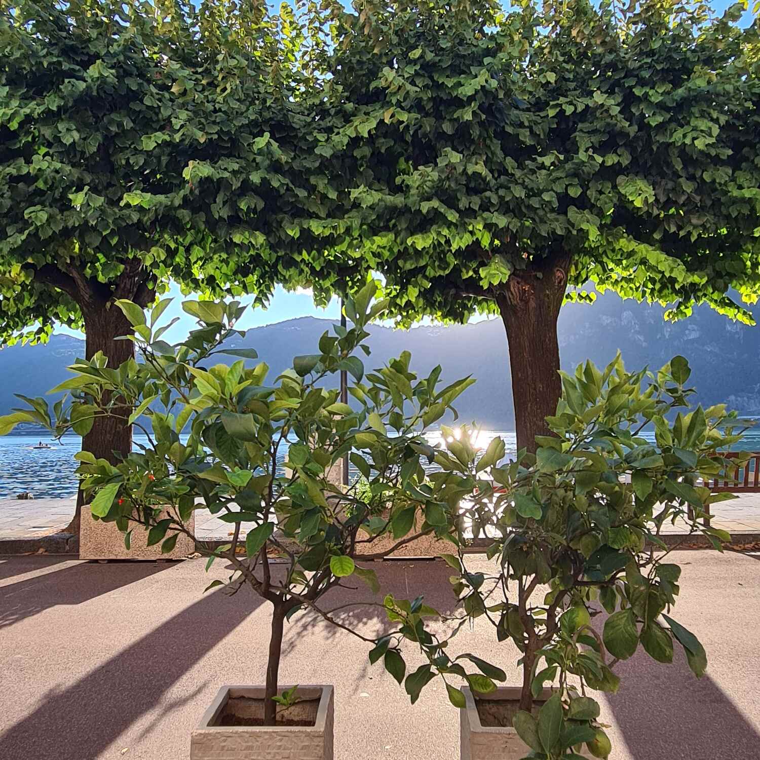 Lugano