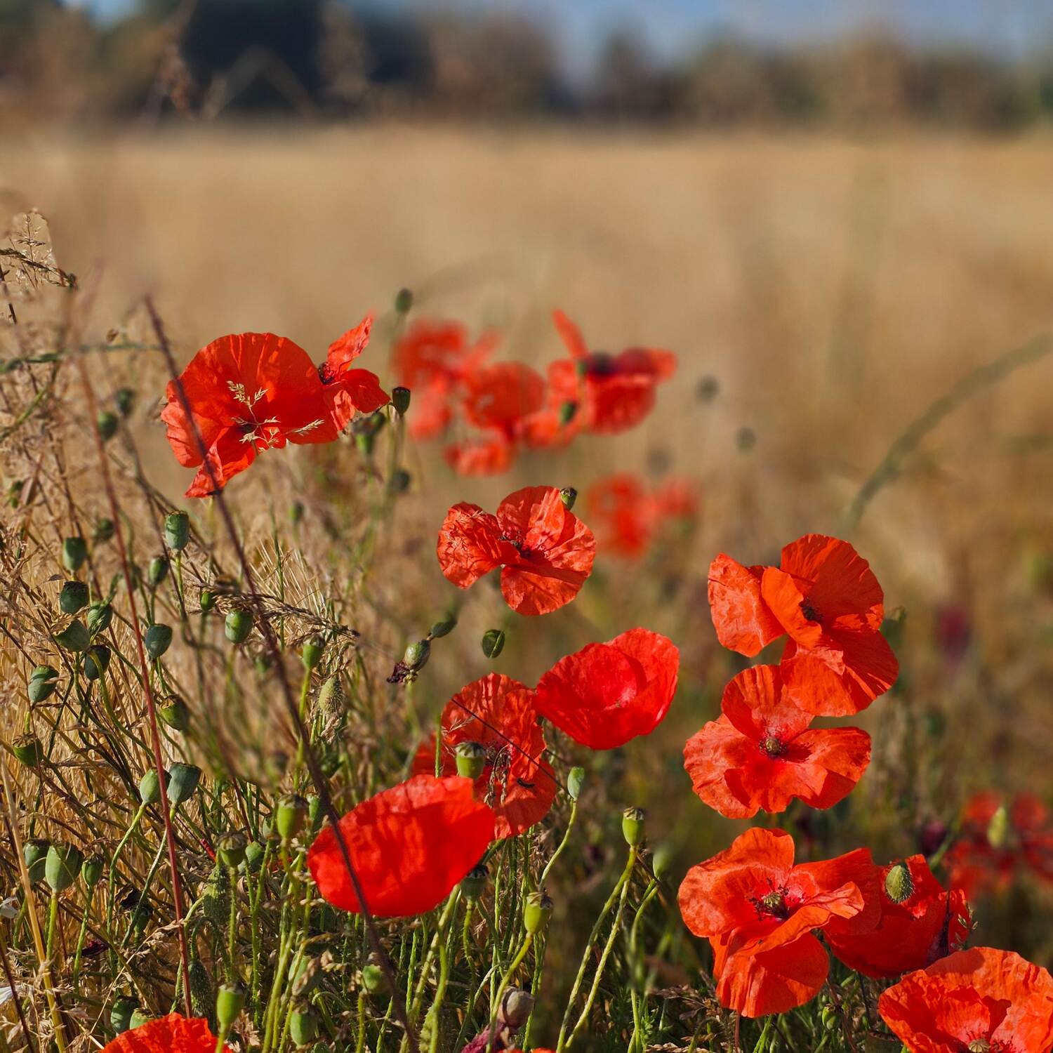 Wohnmobil in den Süden 2024-20