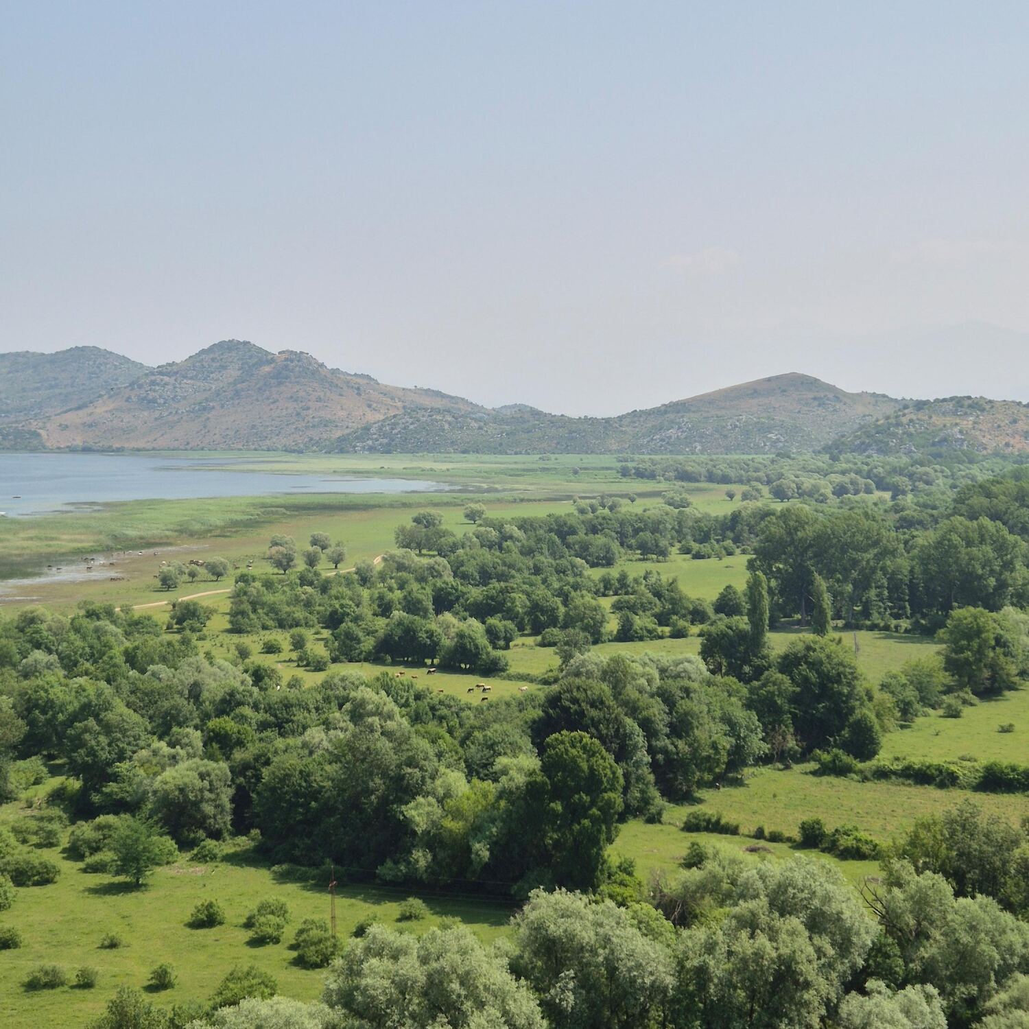 Montenegro