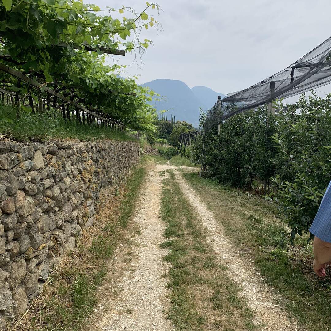 Meran